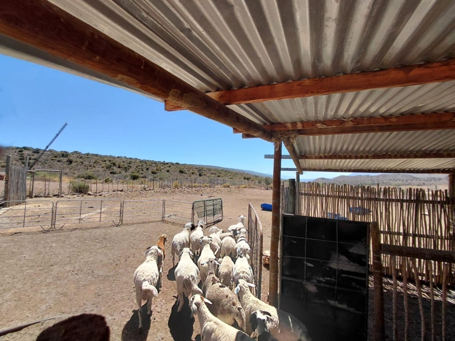 Commercial Property for Sale in Swellendam Rural Western Cape